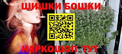 индика Ливны