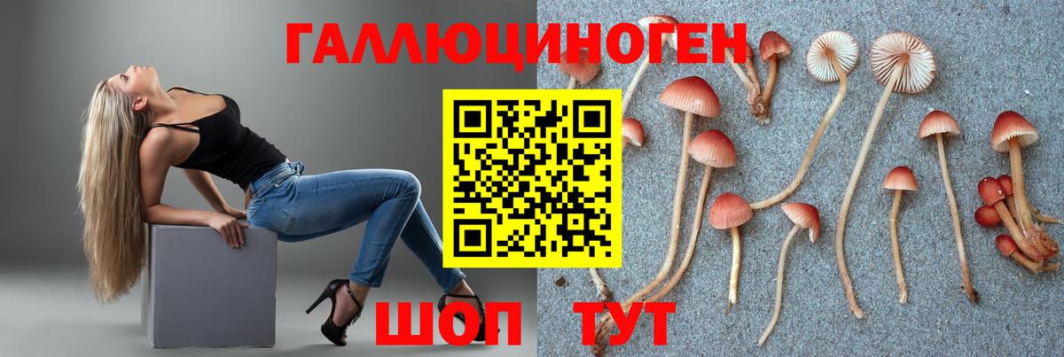 Янаул  Псилоцибиновые грибы мухоморы  Вход с VPN 